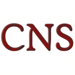 CNS Systemhaus Hoyerswerda GmbH Logo